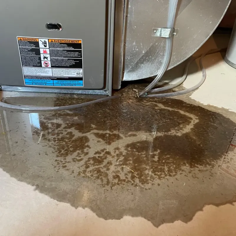 Appliance Leak Cleanup in Hilliard, OH