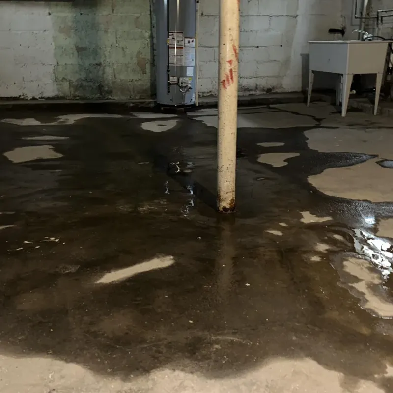 Emergency Water Extraction And Removal in Hilliard, OH